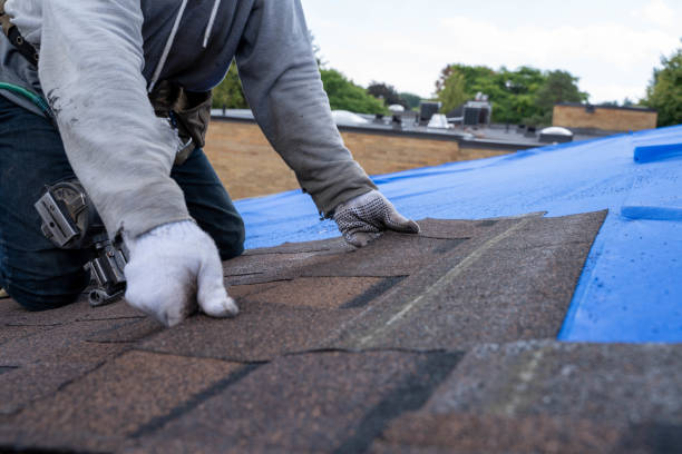 Fast & Reliable Emergency Roof Repairs in Old Jefferson, LA